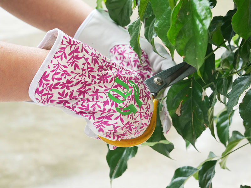 Draußen Nahaufnahme